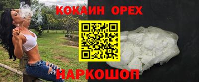 гидропоника Гатчина