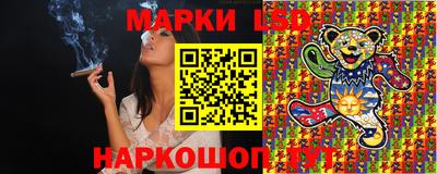 гидропоника Гатчина