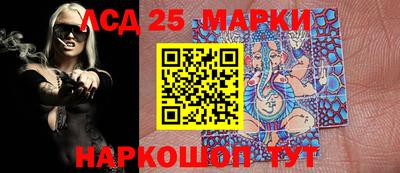 гидропоника Гатчина