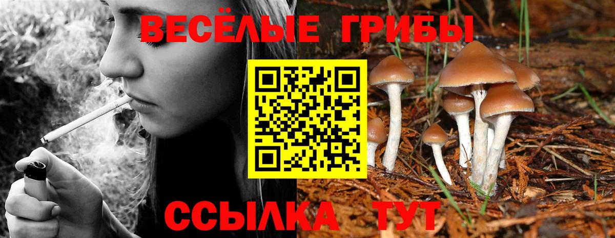 Галлюциногенные грибы Psilocybe  Псилоцибиновые грибы MAGIC MUSHROOMS  Вход с VPN  хочу   Калуга 
